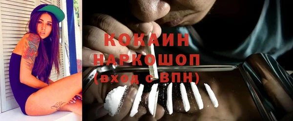гидра Ладушкин