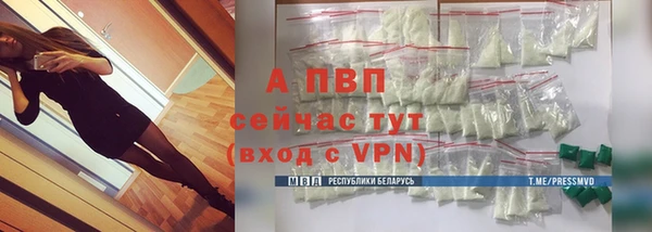 гидра Ладушкин
