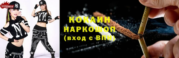 крисы Лагань