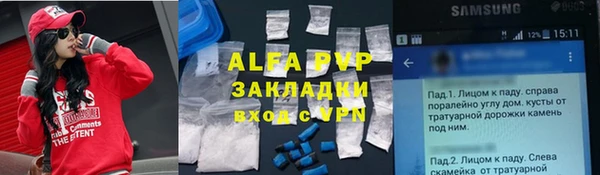 крисы Лагань