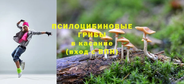 гидра Ладушкин