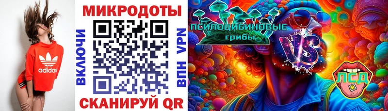 Купить  Карабулак  Галлюциногенные грибы прущие грибы 